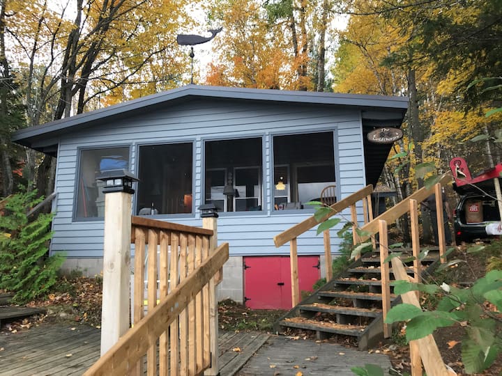 Beautiful beach lakefront cottage - lakeside fun!