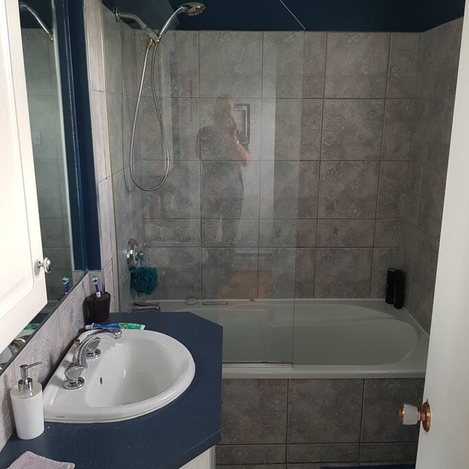 salle de bain avec bain tourbillon et douche