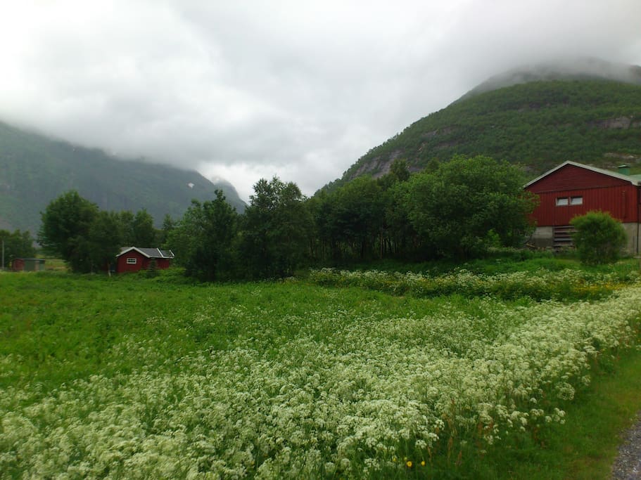 Hytta.
The cabin
