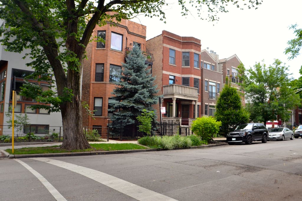Best in Chicago East Village - Apartments for Rent in  