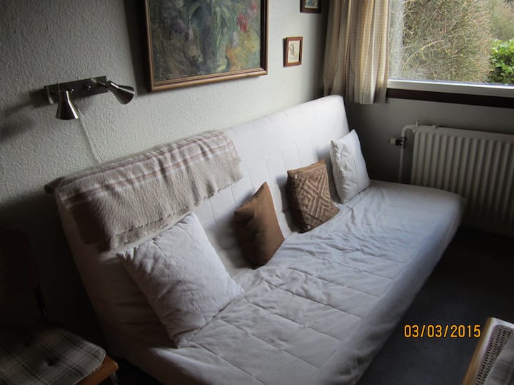 Hiki ni chumba kidogo cha kulala kilicho na kitanda cha sofa, ambacho kwenye picha hakijageuzwa kuwa kitanda cha watu wawili, lakini kama ilivyo katika toleo hili kinaweza kutumika kama sofa ya kawaida.