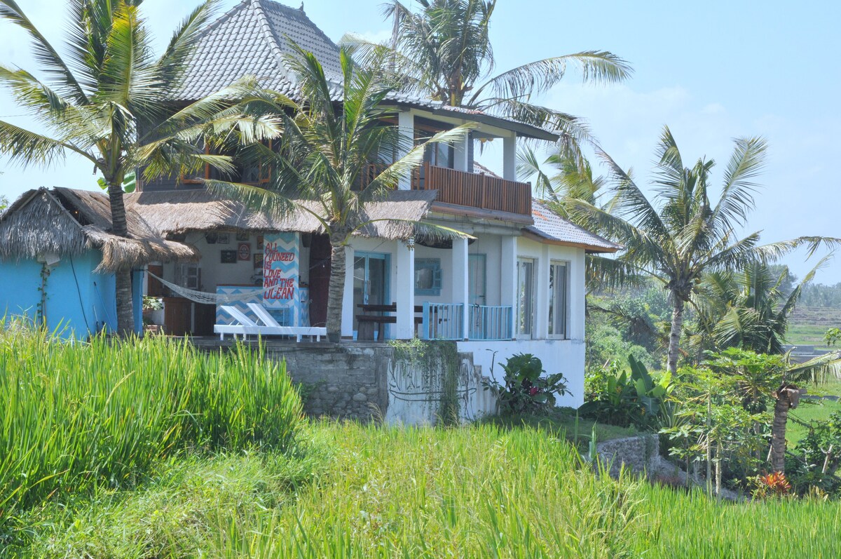 A two-story building is surrounded by lush green rice fields and palm trees. The structure features a thatched roof with a wooden balcony, alongside large windows that invite natural light. Colorful artwork adorns the walls, enhancing the tranquil rural setting.