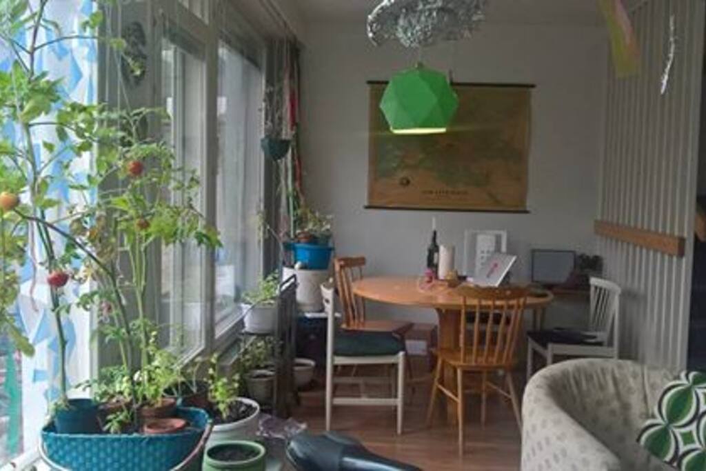 Dining area and back door, facing the back yard, where we try to grow vegetables!