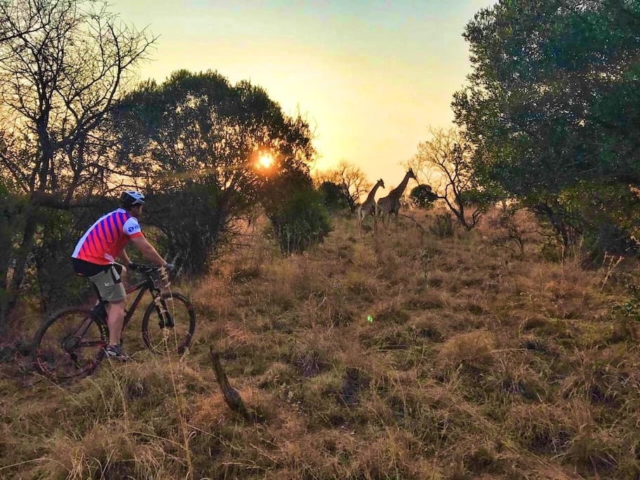 Mountain biking routes