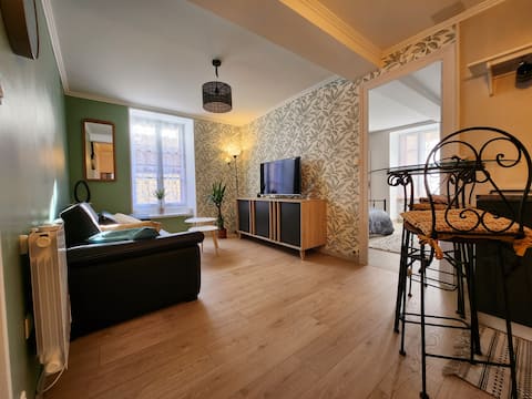 60 square meter furnished apartment in the city center