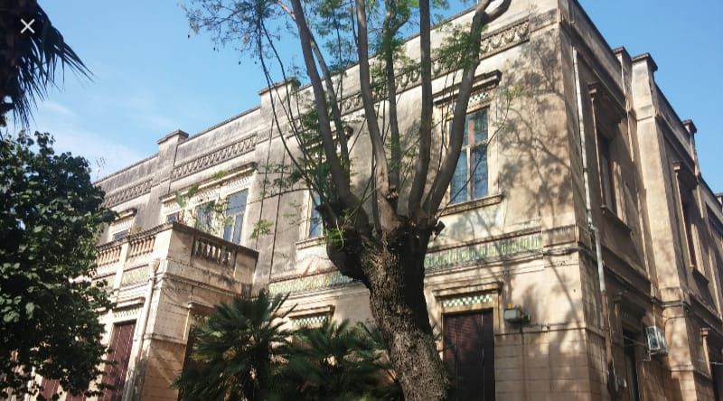 An elegant historical building features intricate architectural details and a weathered facade. Lush greenery, including a large tree and palm plants, complements the structure. Sunlight filters through the branches, casting soft shadows on the surrounding area, enhancing the serene environment.