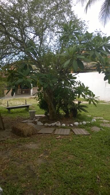 Jardim com árvores frutiferas