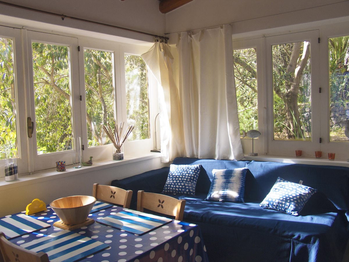 Living room and dining area inside with pleasant garden view, equipped with codon.
