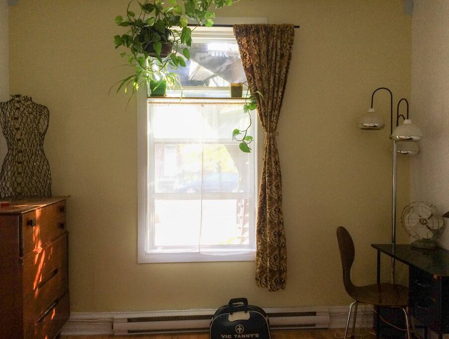 La nouvelle chambre à louer !