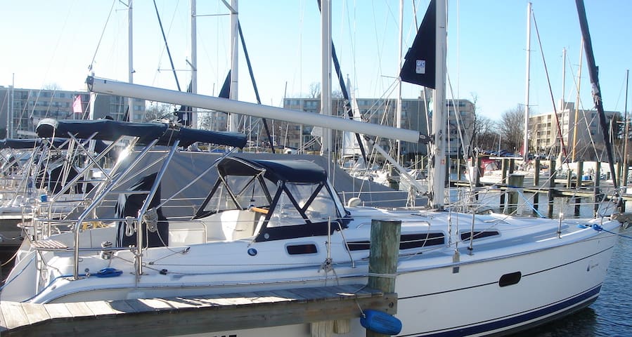 Hunter 36' Sailboat