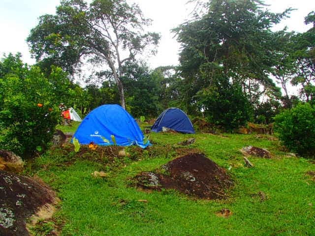 Two blue tents are set up on a grassy area surrounded by lush greenery and rocks. Several trees and shrubs provide a natural backdrop, creating a serene camping environment in the countryside.