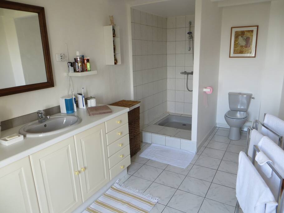 Chambre jaune, salle de bain et toilettes privatives