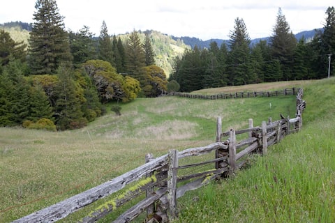 Modern Philo Elk Home - Gorgeous Landscape Views