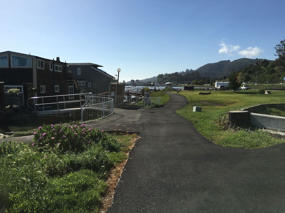 Bike Path and place to take dogs