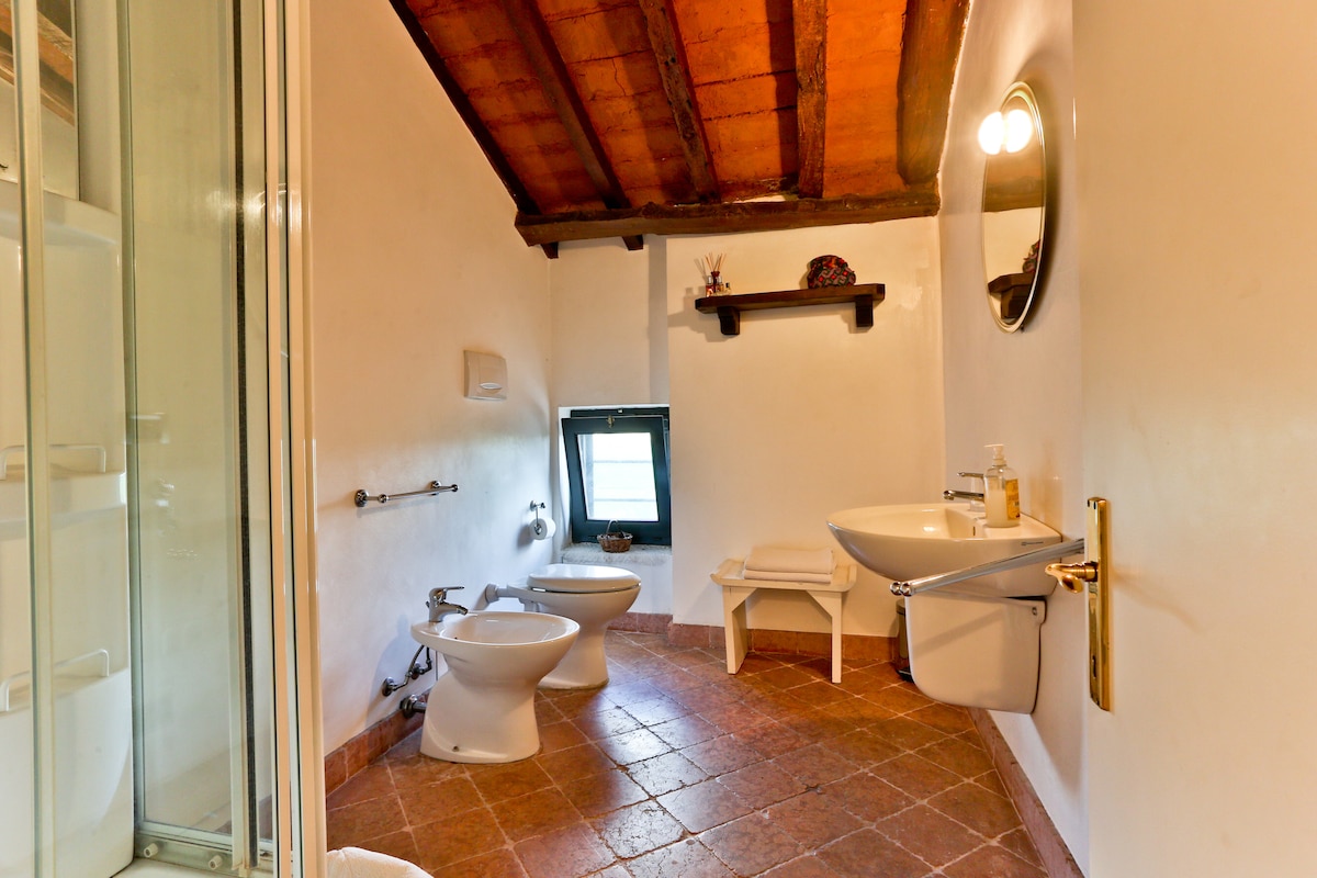 A spacious bathroom with terracotta floor tiles is highlighted by exposed wooden beams on the ceiling. Fixtures include a shower, toilet, bidet, and a sink with a large mirror above it. A small bench is positioned nearby, and a window allows natural light to enter the room.