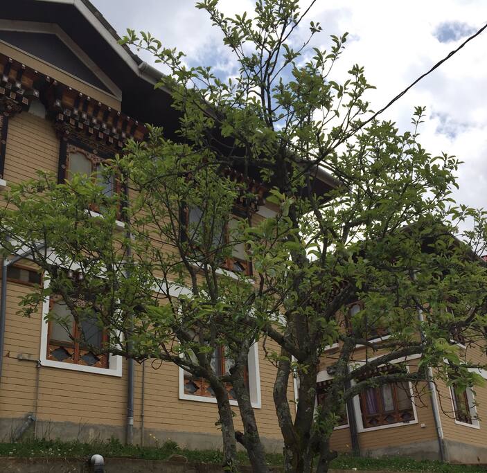 The house from outside