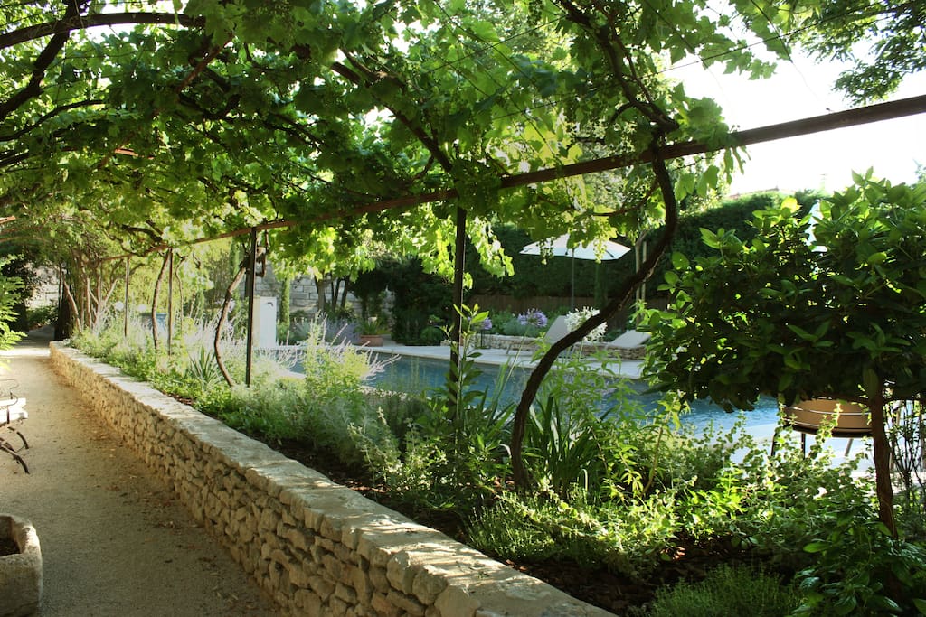 Garden & pool area