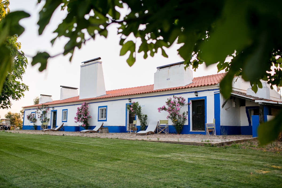 The exterior of the Casa Giesta is showcased, featuring a traditional design with white walls and blue accents. Green grass surrounds the building, and several flowering plants frame the entrance. Wooden chairs are positioned on a patio area, inviting relaxation.