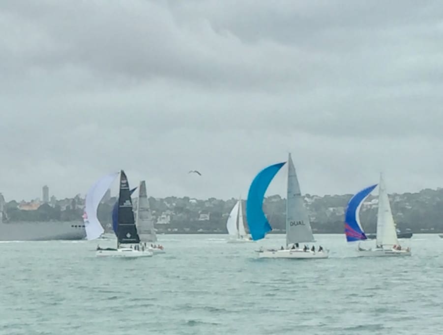 View of Yacht Racing in the harbour from Devonport