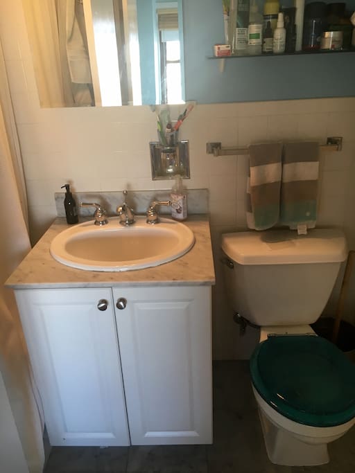Full Bath (Shower to the left)