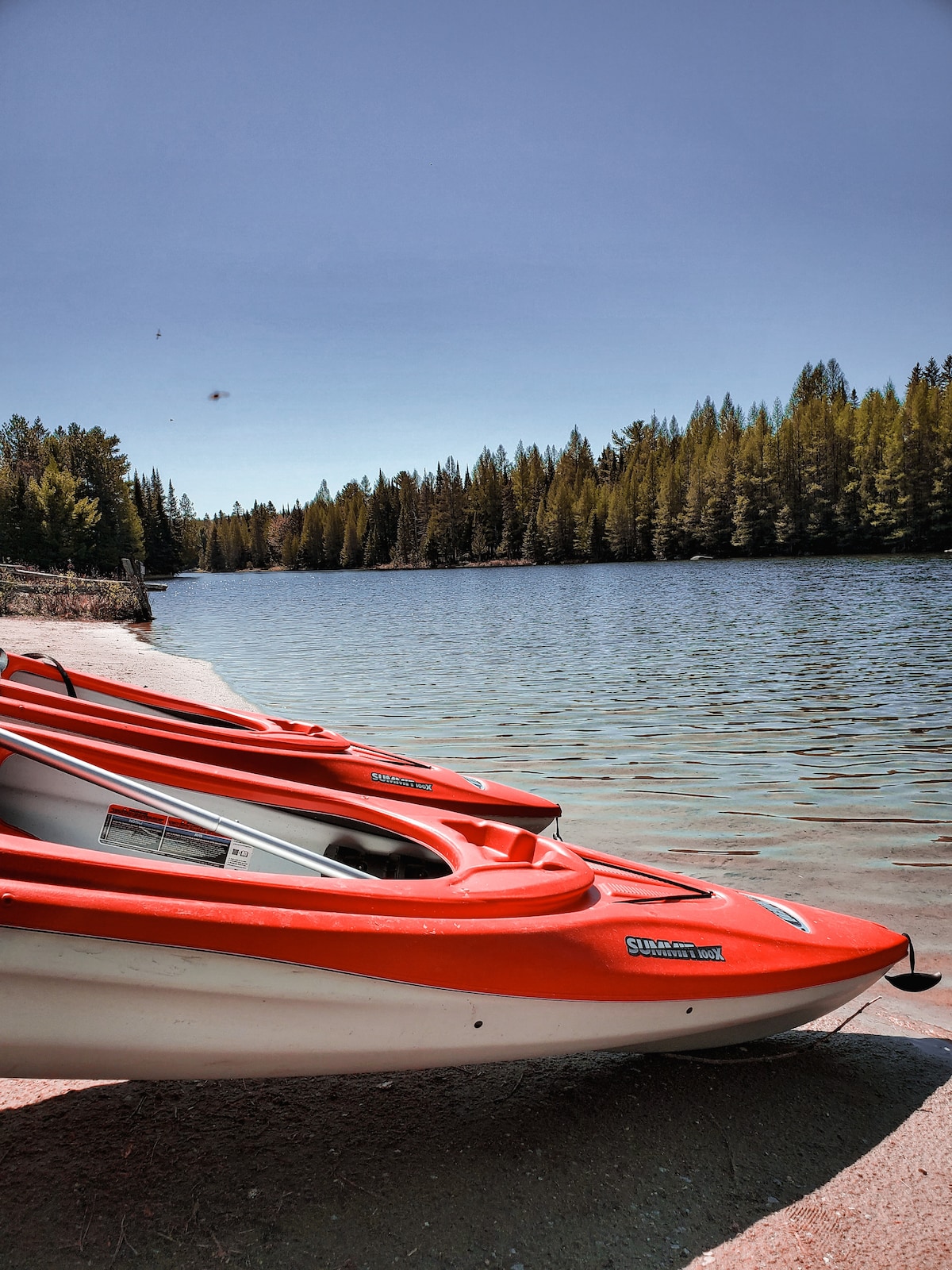 Three red kayaks are lined up on a sandy shore, facing a calm body of water. Surrounded by tall evergreen trees, the serene landscape reflects a clear blue sky. The sun casts gentle light on the kayaks, creating a tranquil outdoor setting.