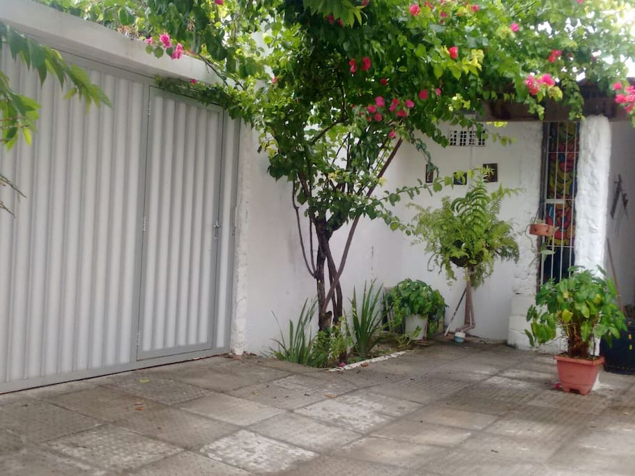 Ingresso