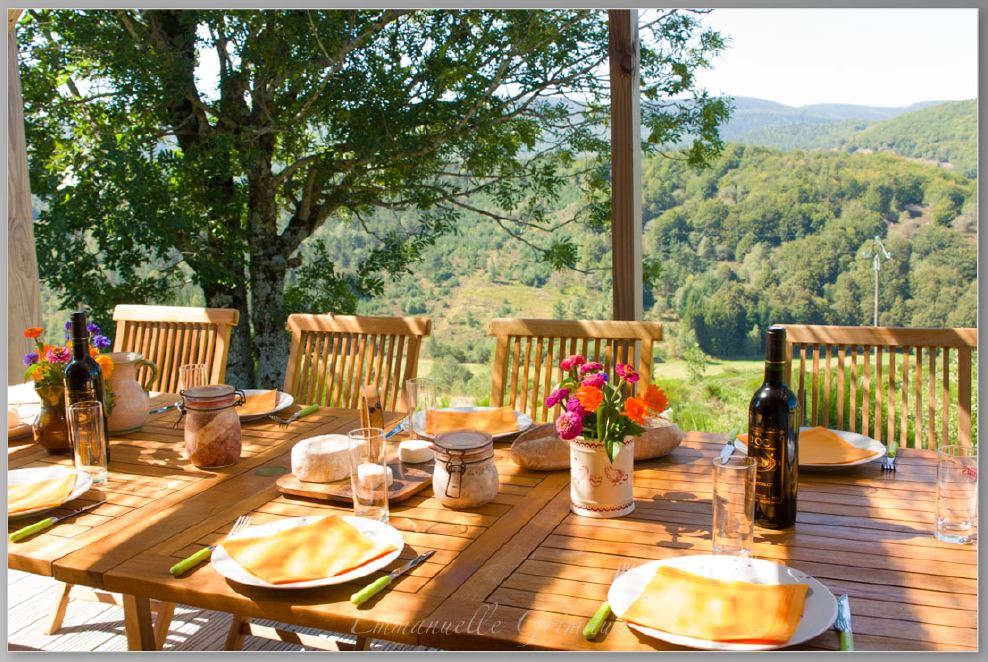 A wooden dining table is set with orange plates and surrounded by wooden chairs. Decorative flowers are placed in a small vase at the center. The table overlooks a scenic view of rolling hills and lush greenery, framed by a tree.