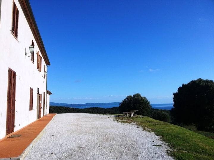 Podere Castello Di Vignale Trilo. 2 - Follonica
