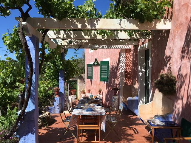 The pergola in front of the house