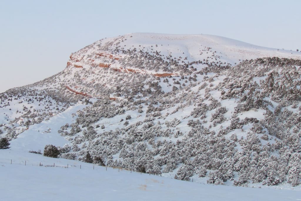 This is our winter view