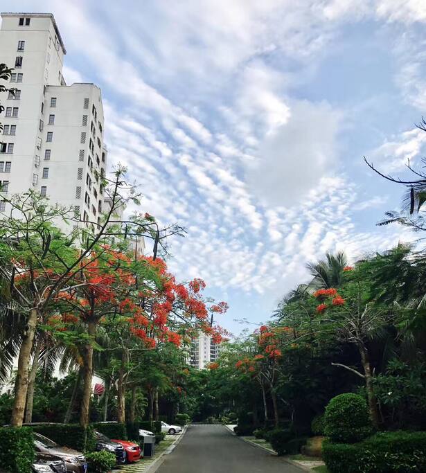 春暖花开