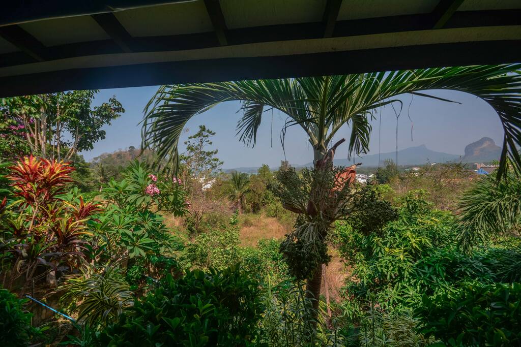 View from unit 1