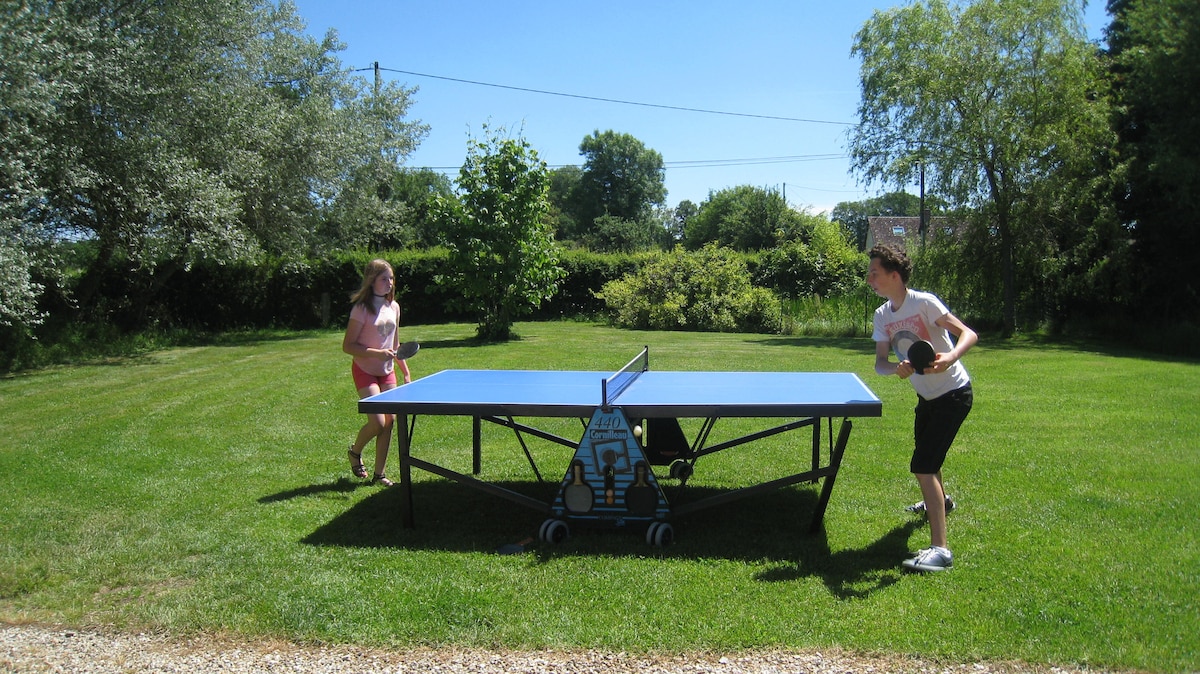 A ping pong table occupies a vibrant green lawn, surrounded by lush trees and shrubs. Two individuals are positioned on opposite sides of the table, with one preparing to serve. Clear blue skies provide a sunny backdrop, enhancing the outdoor atmosphere.
