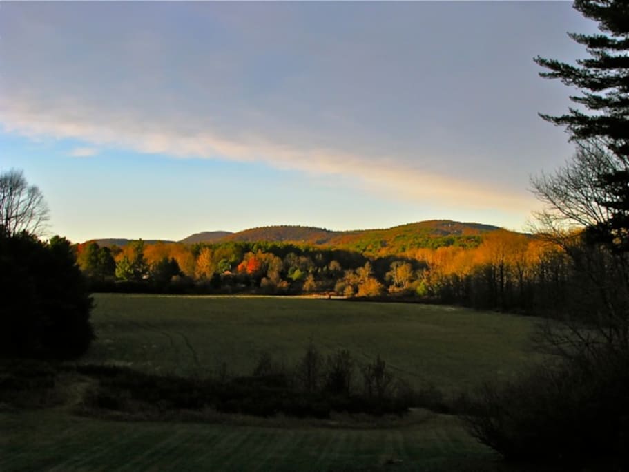 AUTUMN LIGHT