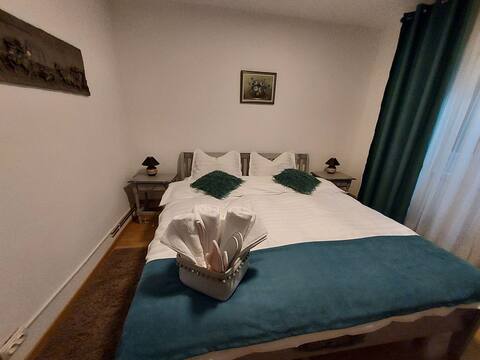 Vintage Central Apartament