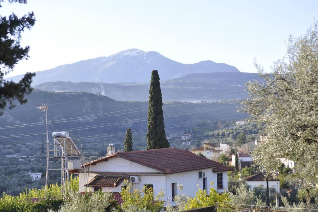 Backyard view