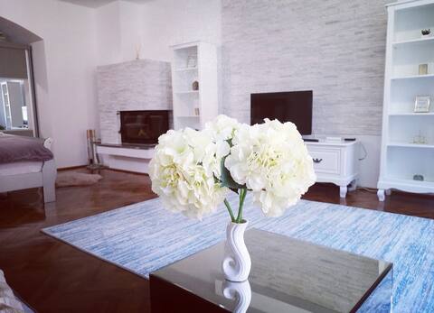 Bijou Residence ( OLD TOWN )