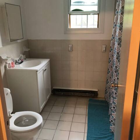 Bklyn’s Favorite Vacation Home!!!!!! gallery image 5