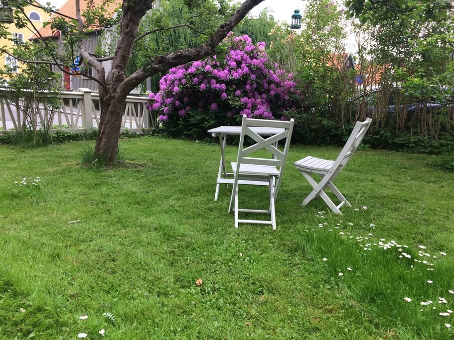 Beautiful and quiet garden close to city center