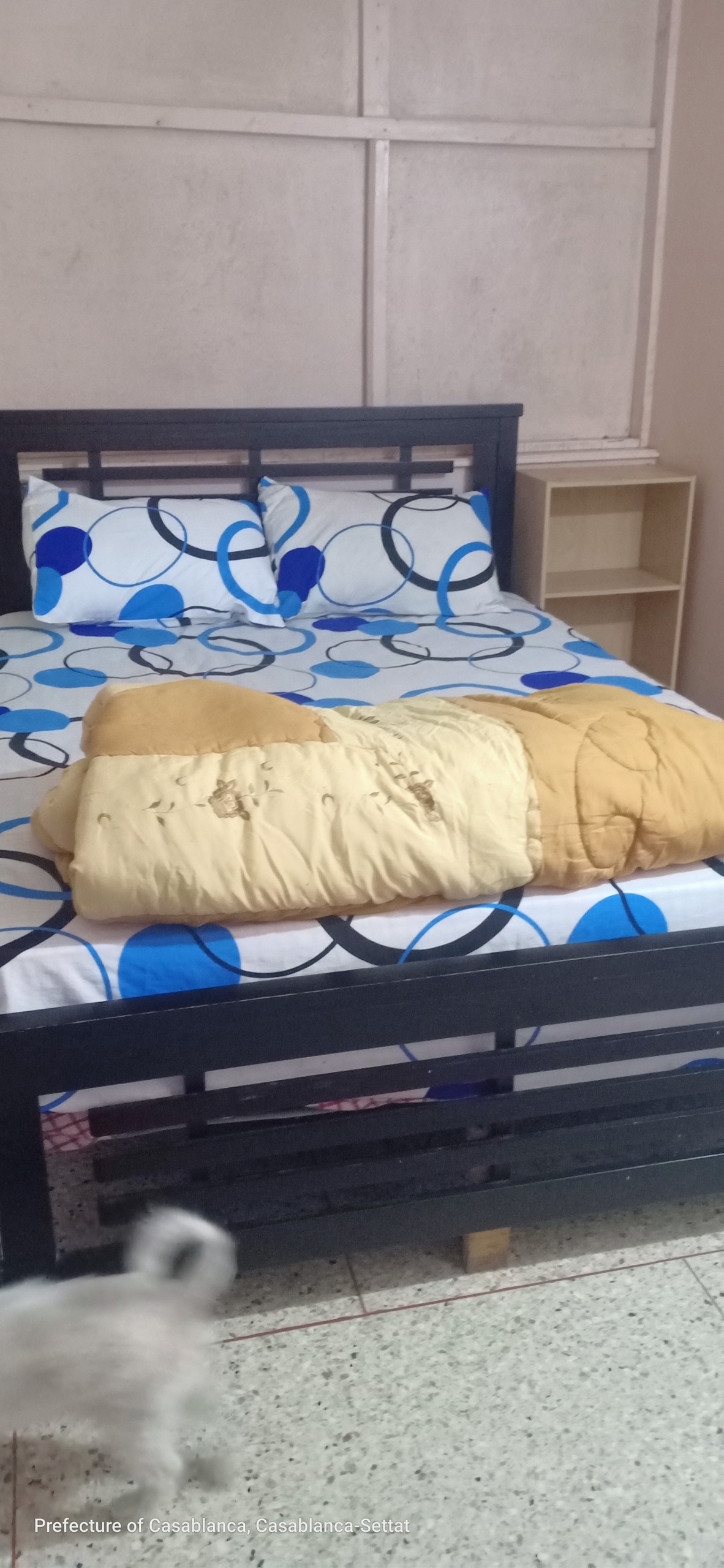 Bed and breakfast in Casablanca  454  1 bedroom  1 bed  1 shared bath - image 2