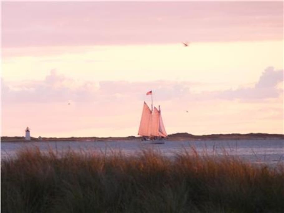 From your deck. The sand beach is behind the dune grass. Long Point Light House and more beaches are across the water