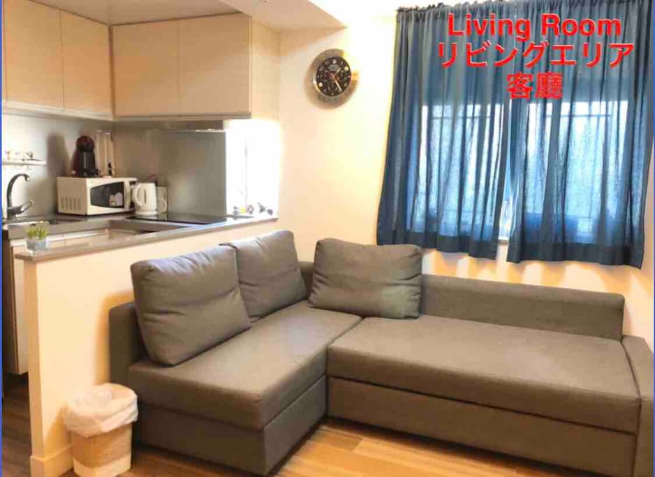 Living Room which has a convertible sofa bed to accommodate additional guests