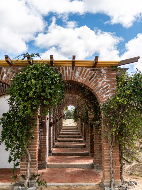 Show full-screen, host-provided image