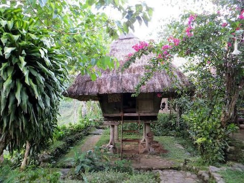 Cozy Traditional Ifugao Cottages