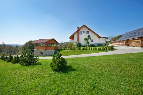 Farmhouse Lipoglav, 4-bdrm, pool, air-condition