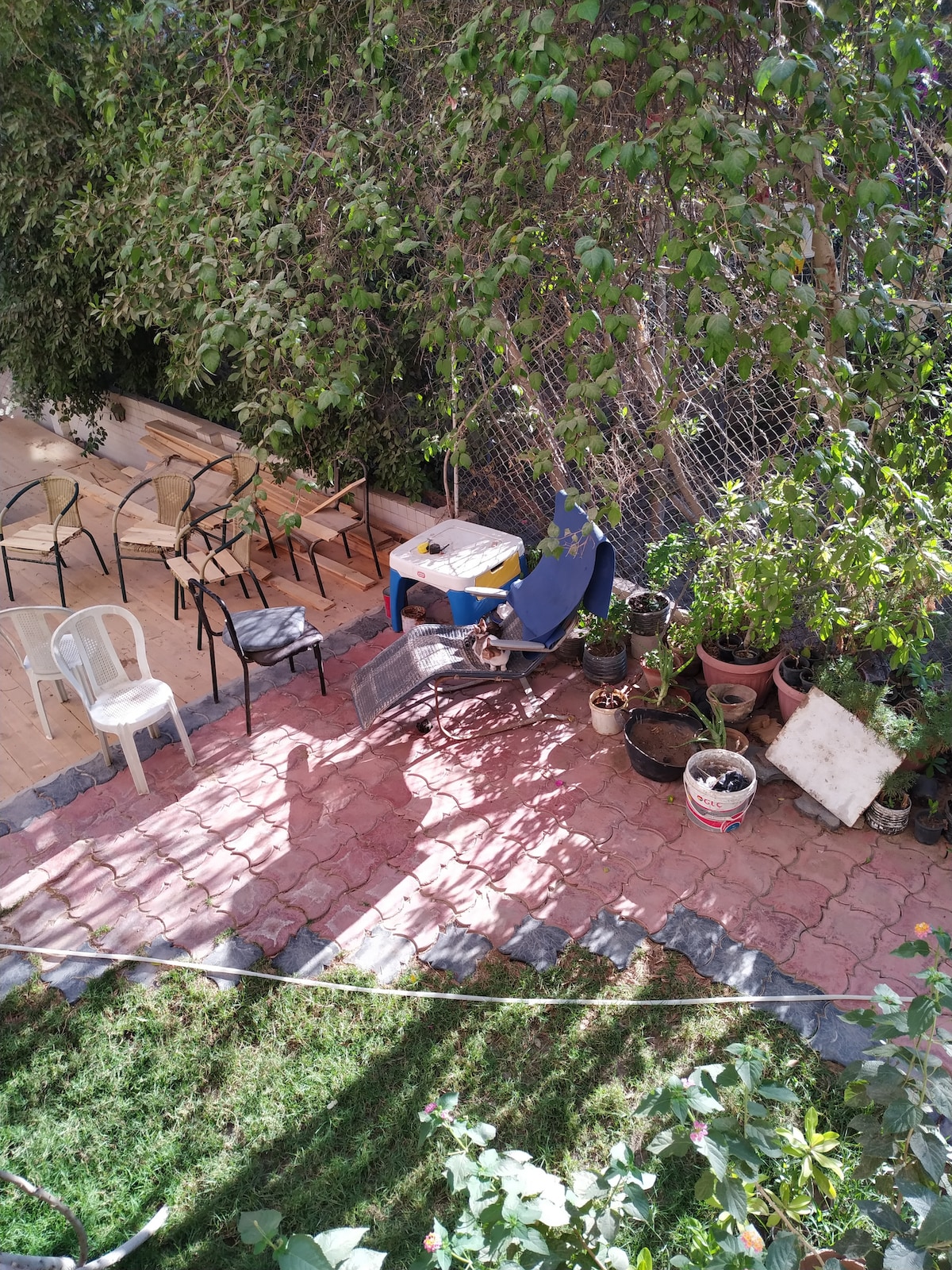 A garden space is featured, showcasing a mix of potted plants and greenery. Several chairs are positioned around a table, while a corner holds a wheelchair. Sunlight filters through the foliage, casting patterns on the paved ground.