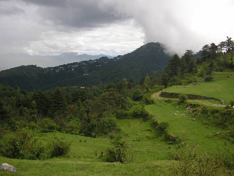 Hill View
