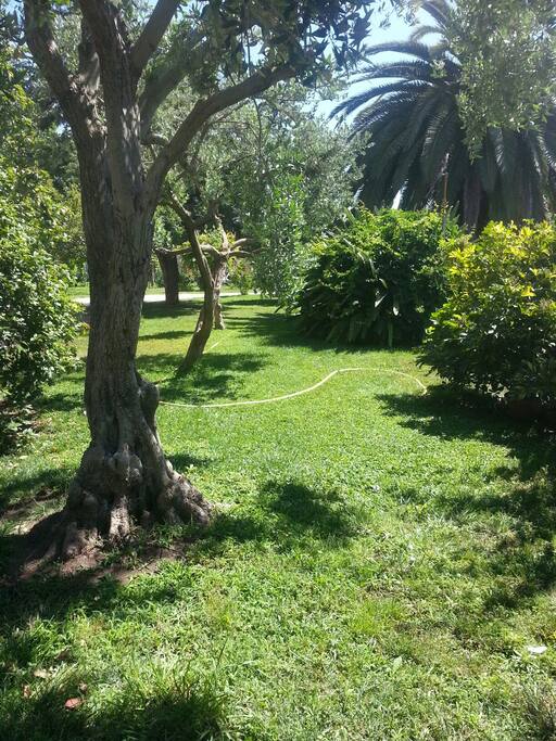 Il giardino...oasi verde