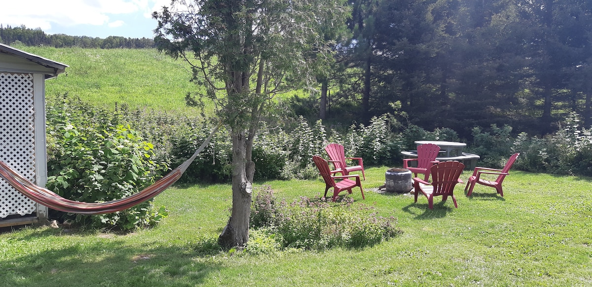A relaxing outdoor space is surrounded by greenery, featuring a hammock hung between trees. Several red chairs are arranged around a fire pit, with a metal table nearby. Tall grass and shrubbery create a natural barrier, enhancing the setting.