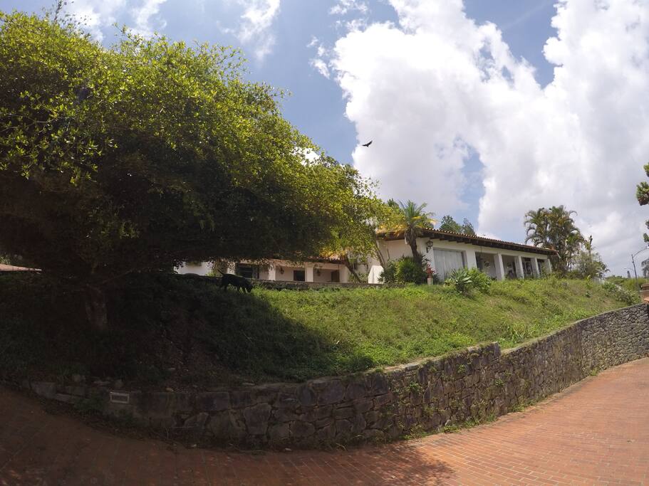 general view of La Ciénega